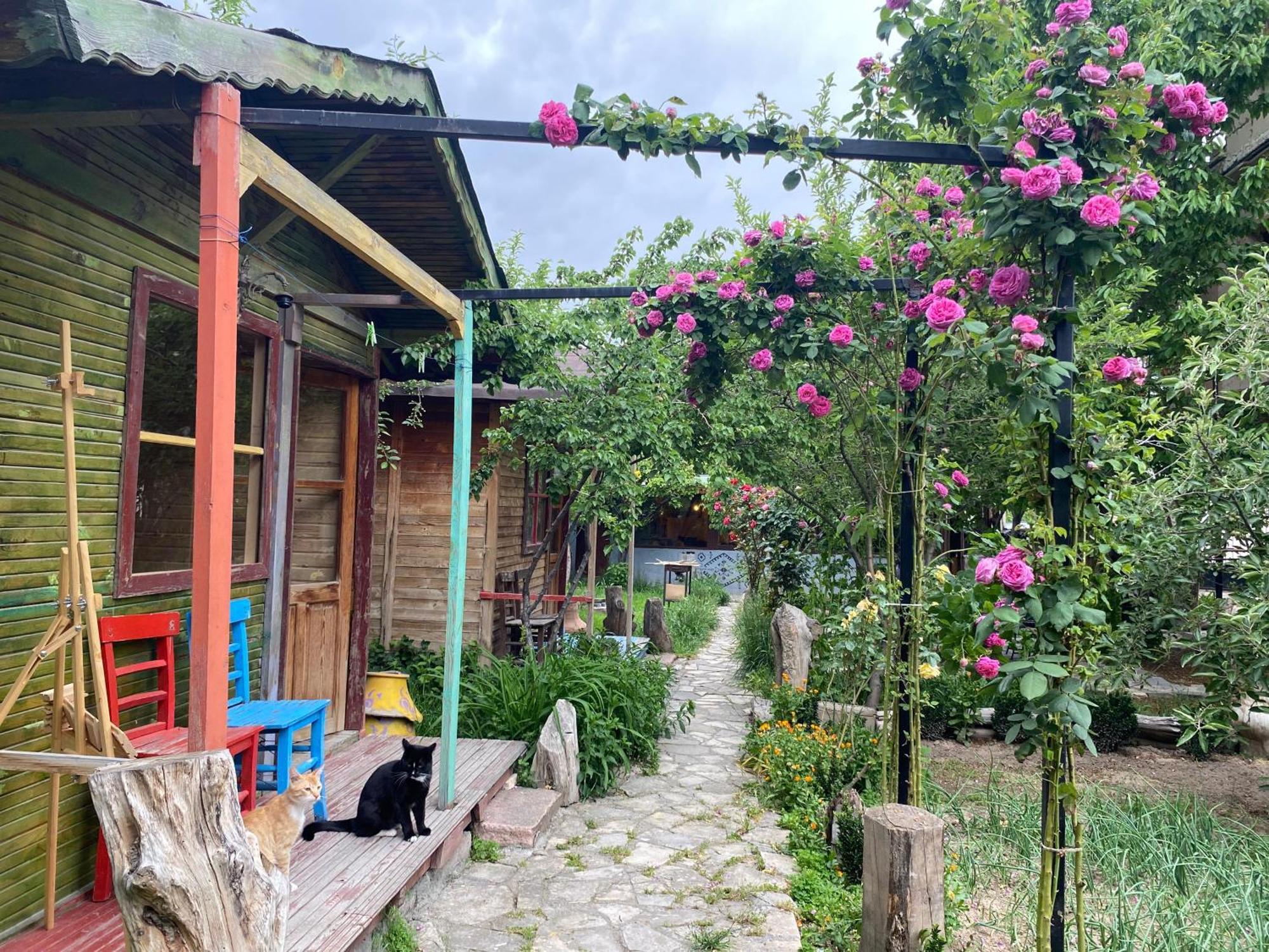 Philosophy Hotel Üçhisar Habitación foto